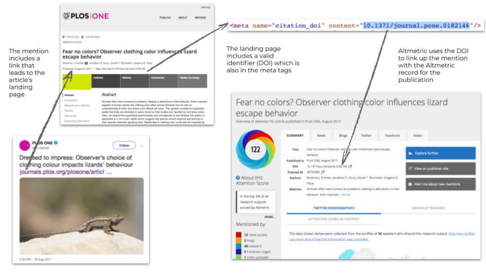 How to share your work online