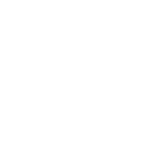 a cog inside a circle